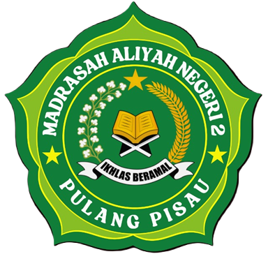 Logo MAN 2 PULPIS